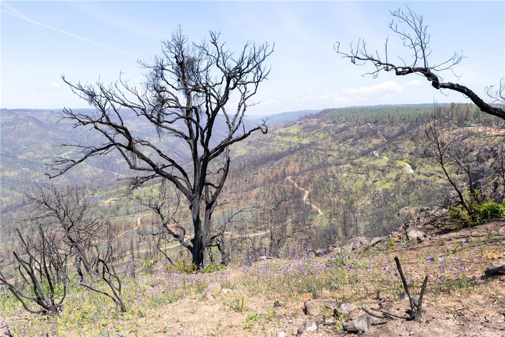 0 Toll Gate Way Forest Ranch, CA 95942 - Photo 38 of 62 a view of a yard covered with snow