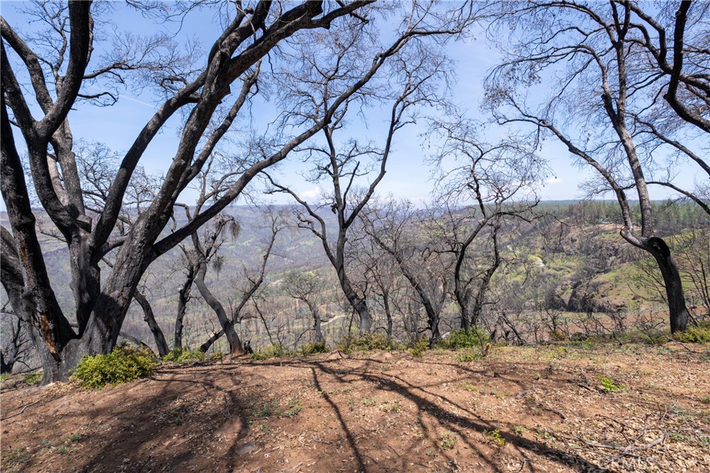0 Toll Gate Way Forest Ranch, CA 95942 - Photo 39 of 62 a view of a backyard of the house