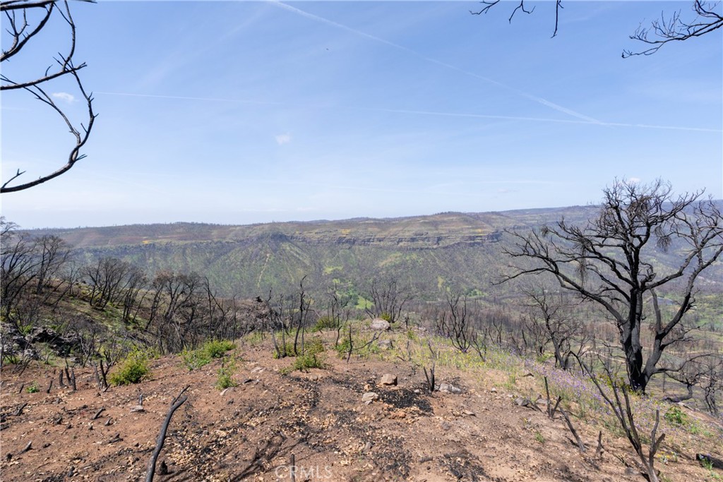 0 Toll Gate Way Forest Ranch, CA 95942 - Photo 4 of 62 a view of a dry yard with trees in the background