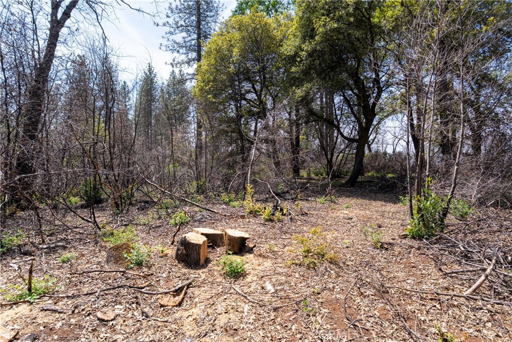 0 Toll Gate Way Forest Ranch, CA 95942 - Photo 45 of 62 a view of a yard with trees