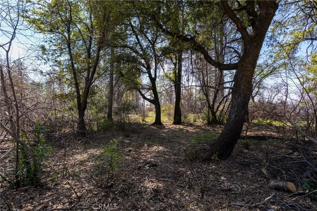 a view of a dry yard