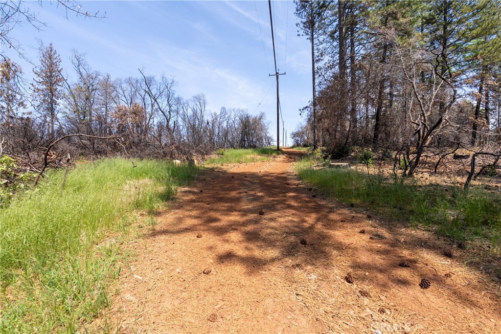 0 Toll Gate Way Forest Ranch, CA 95942 - Photo 47 of 62 a view of backyard with tree