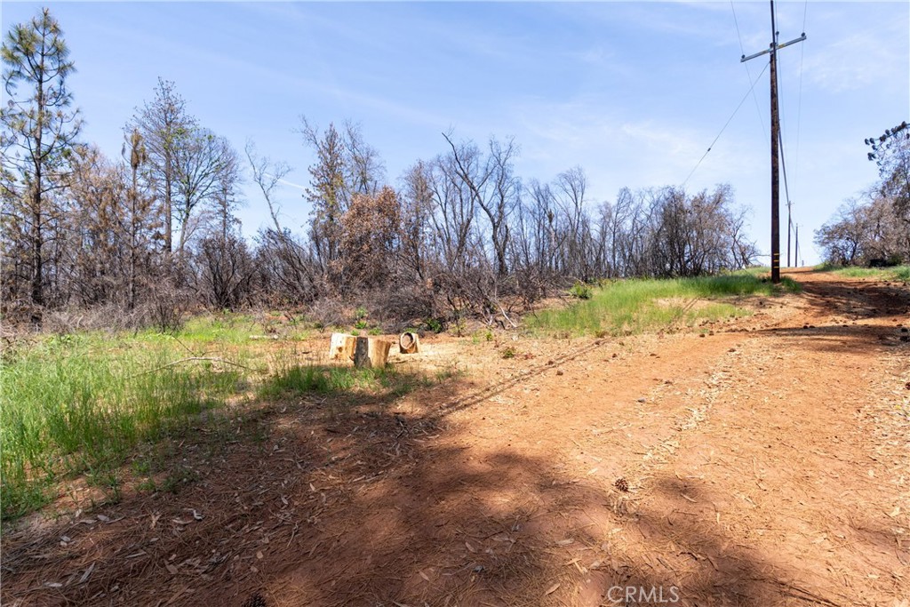 0 Toll Gate Way Forest Ranch, CA 95942 - Photo 48 of 62 a view of yard with trees