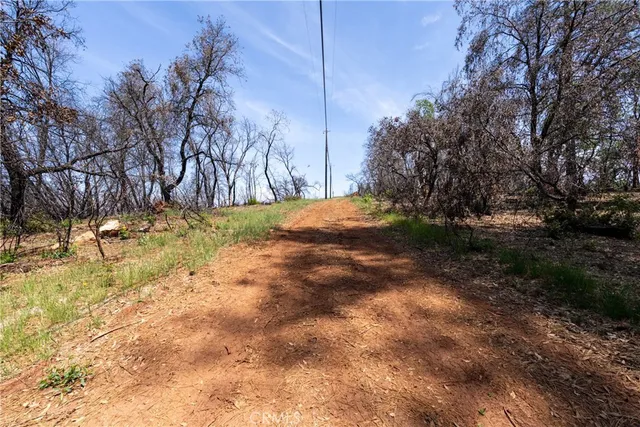 a view of a backyard with large trees