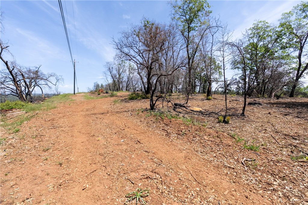 0 Toll Gate Way Forest Ranch, CA 95942 - Photo 52 of 62 a view of empty space with large trees