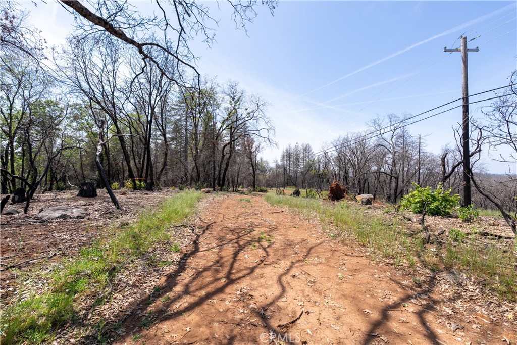 0 Toll Gate Way Forest Ranch, CA 95942 - Photo 53 of 62 a view of a yard with trees
