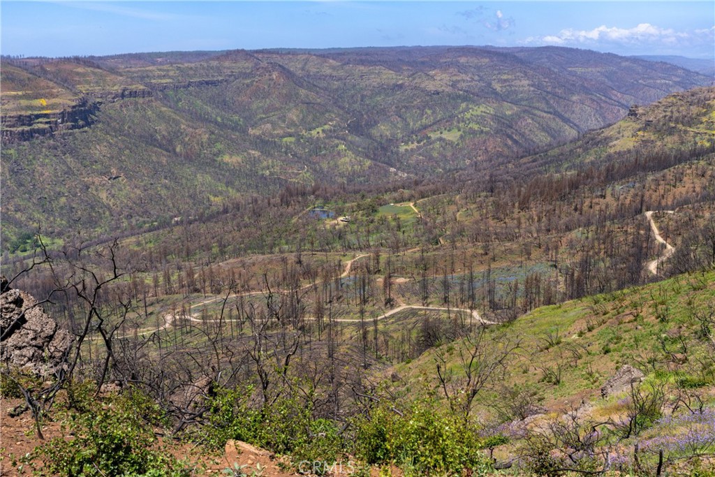 0 Toll Gate Way Forest Ranch, CA 95942 - Photo 56 of 62 a view of a yard