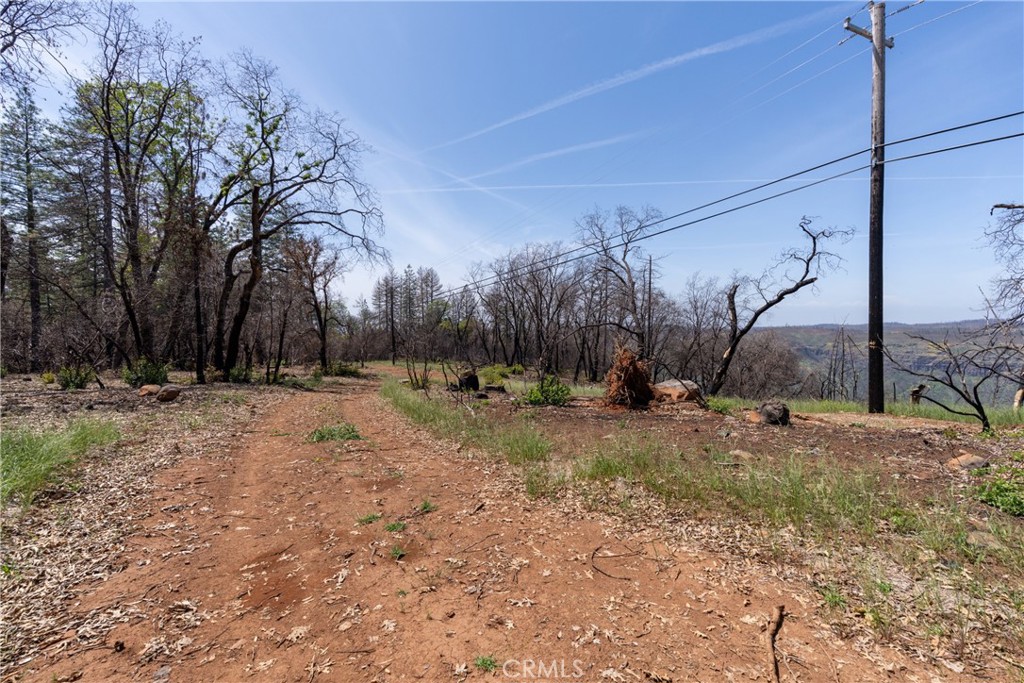 0 Toll Gate Way Forest Ranch, CA 95942 - Photo 58 of 62 a view of a yard with a tree