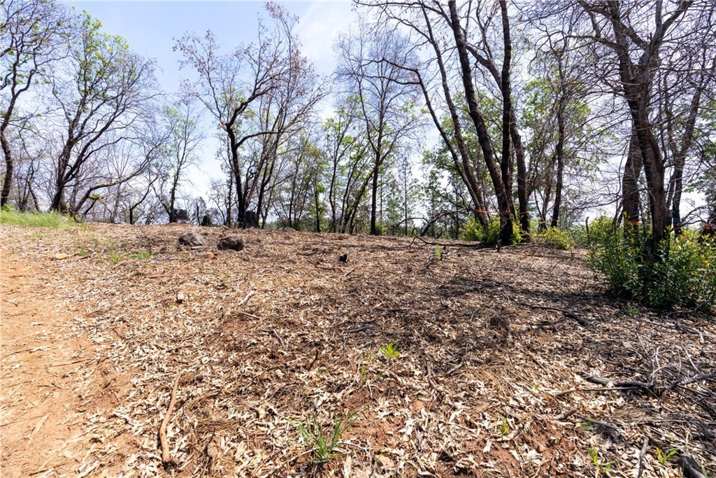 0 Toll Gate Way Forest Ranch, CA 95942 - Photo 59 of 62 a view of a yard with large trees