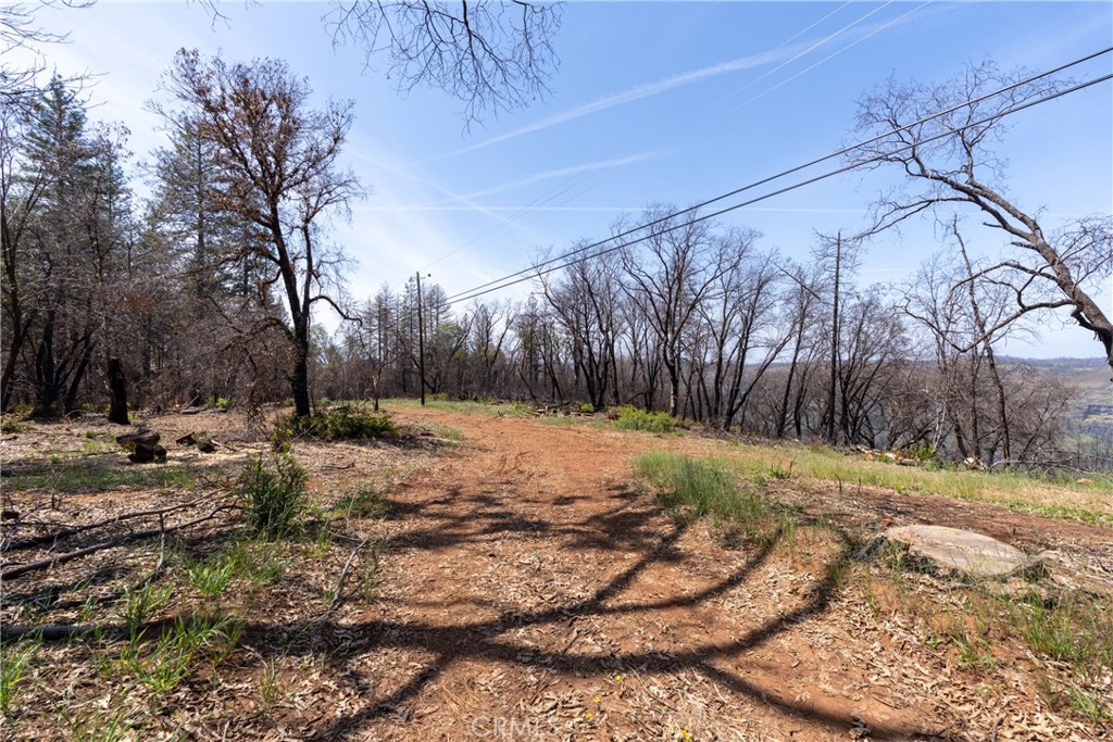 0 Toll Gate Way Forest Ranch, CA 95942 - Photo 60 of 62 a view of a backyard with large trees