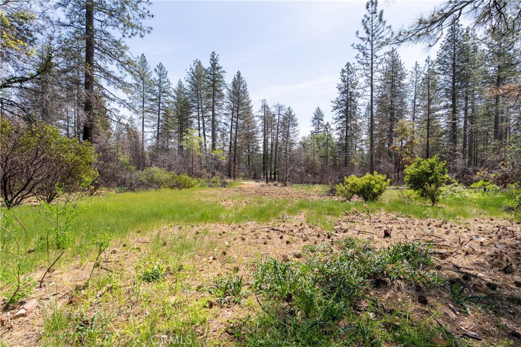 0 Toll Gate Way Forest Ranch, CA 95942 - Photo 8 of 62 a view of backyard with green space