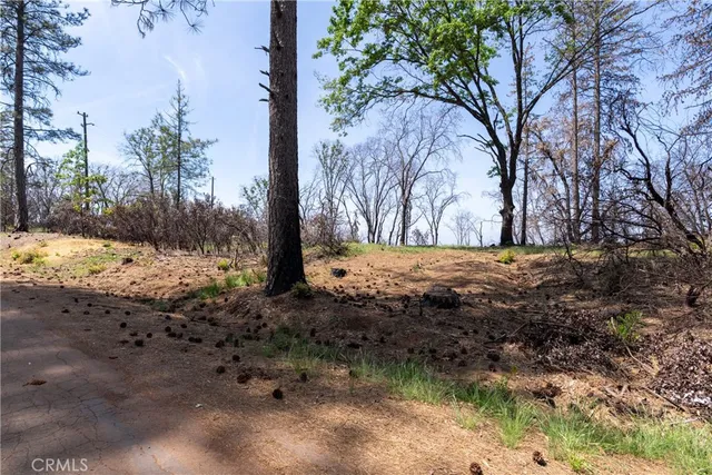a view of a yard with trees