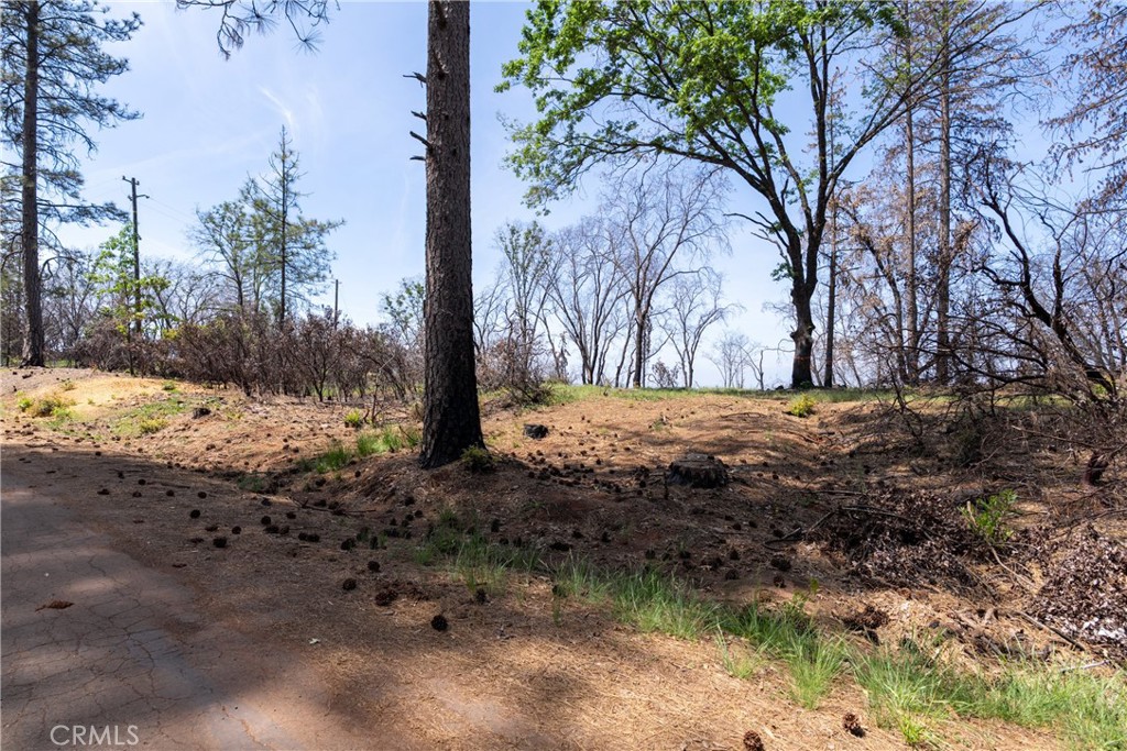 0 Toll Gate Way Forest Ranch, CA 95942 - Photo 10 of 62 a view of snow covered with snow