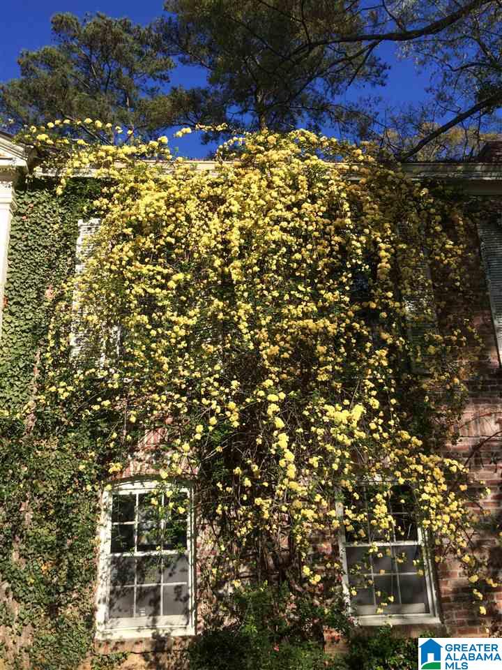 3324 Country Club Road Birmingham, AL 35213 - Photo 2 of 10