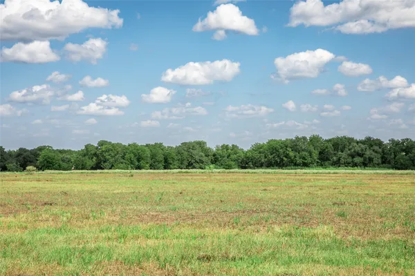 a view of a big yard