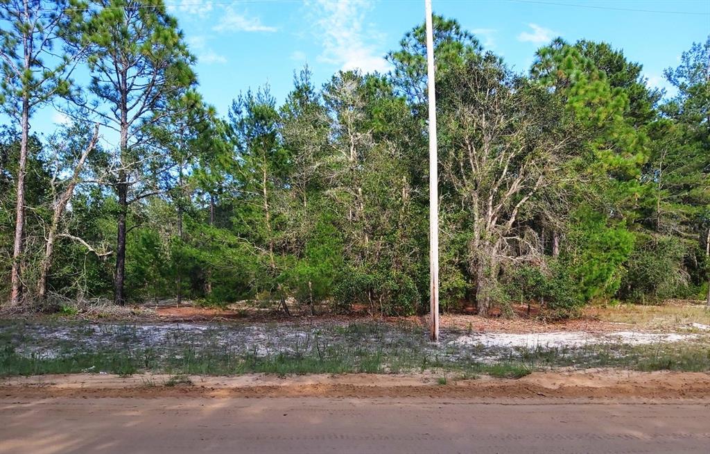 a backyard of a house with lots of trees