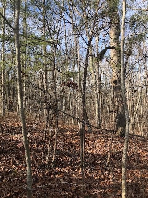 0 Mud Road Graysville, TN 37338 - Photo 17 of 19 Gallery Image 17