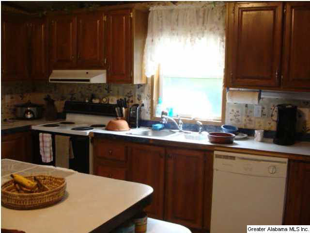 325 Big Springs Road Woodstock, AL 35188 - Photo 13 of 18