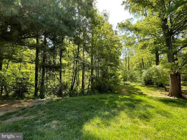 a backyard of a house with trees