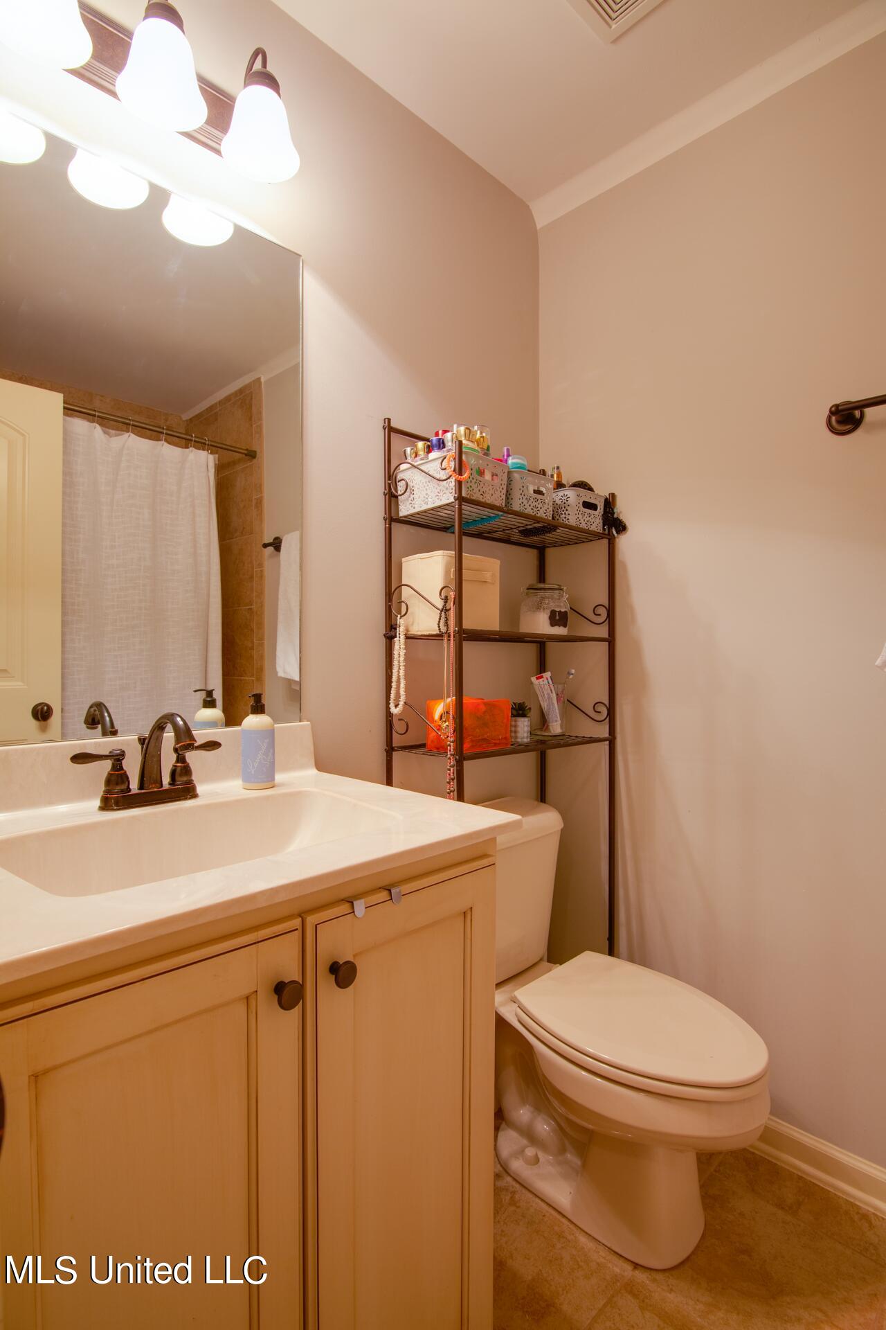 4670 Riva Ridge Drive Olive Branch, MS 38654 - Photo 15 of 20 bathroom 2