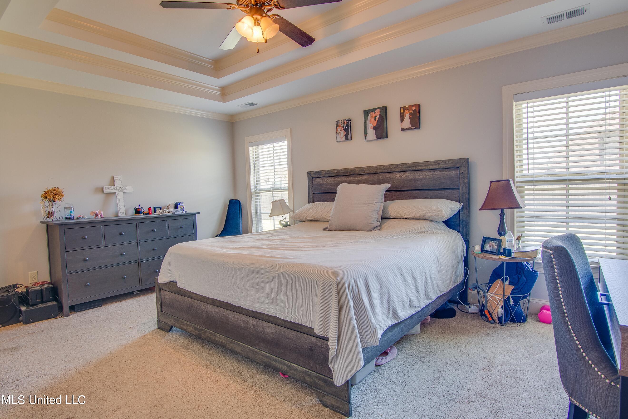 4670 Riva Ridge Drive Olive Branch, MS 38654 - Photo 9 of 20 Master Bedroom