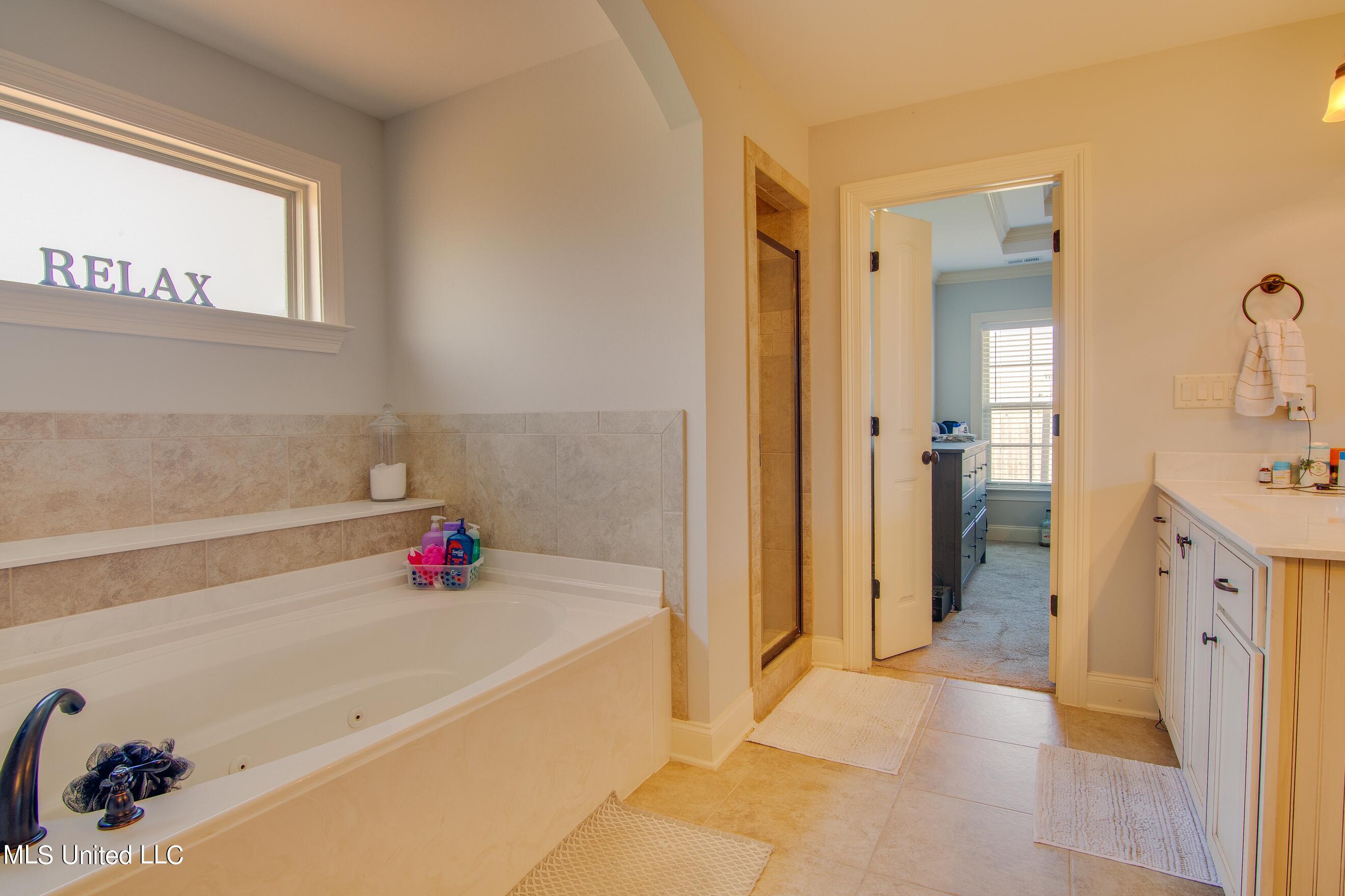 4670 Riva Ridge Drive Olive Branch, MS 38654 - Photo 10 of 20 Master Bathroom