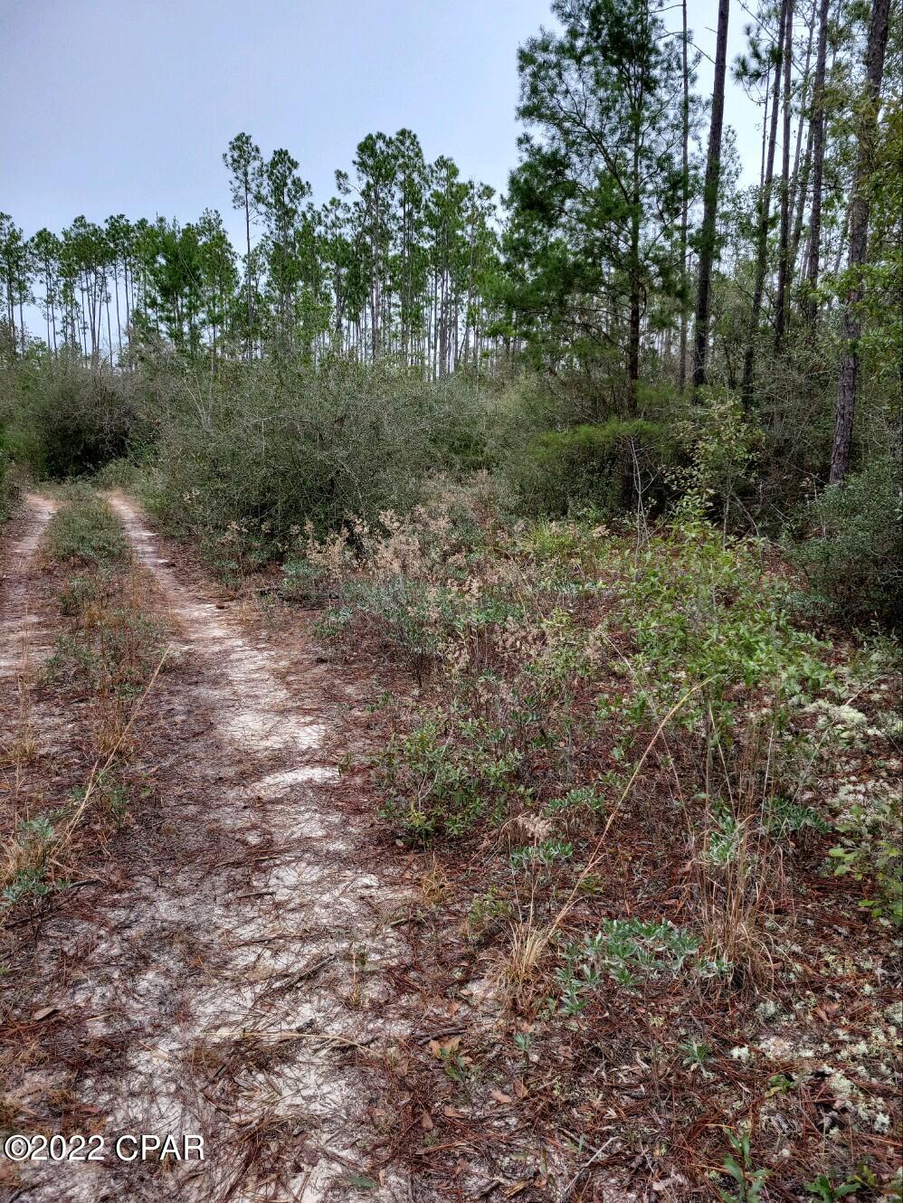 13617 Rollohome Road Fountain, FL 32438 - Photo 4 of 5 Gallery Image 4