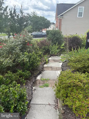 a view of a pathway both side of white house
