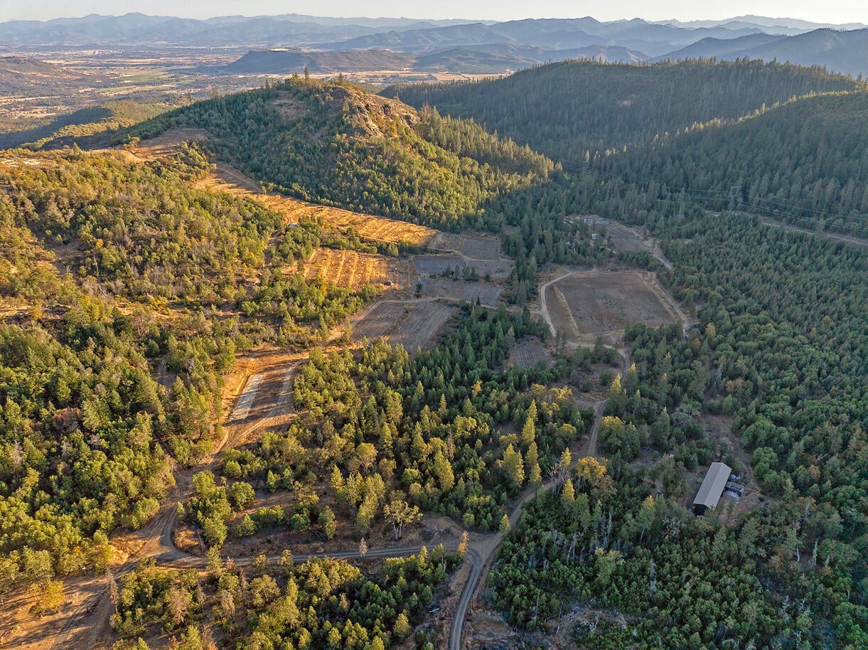 14738 Ramsey Road White City, OR 97503 - Photo 36 of 55 DJI_20241008174026_0090_D copy
