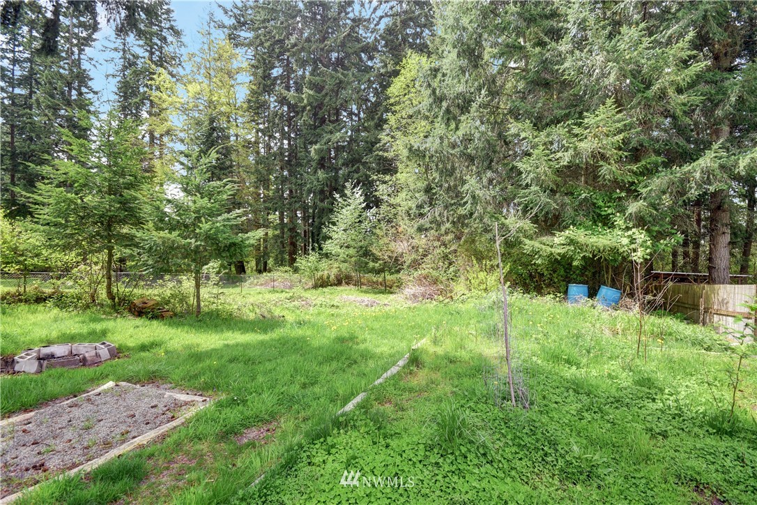 6930 Lower Ridge Road Everett, WA 98203 - Photo 13 of 15 a view of backyard with green space