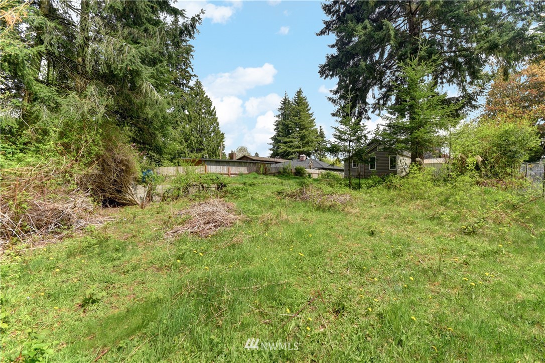 6930 Lower Ridge Road Everett, WA 98203 - Photo 14 of 15 a view of a lush green space