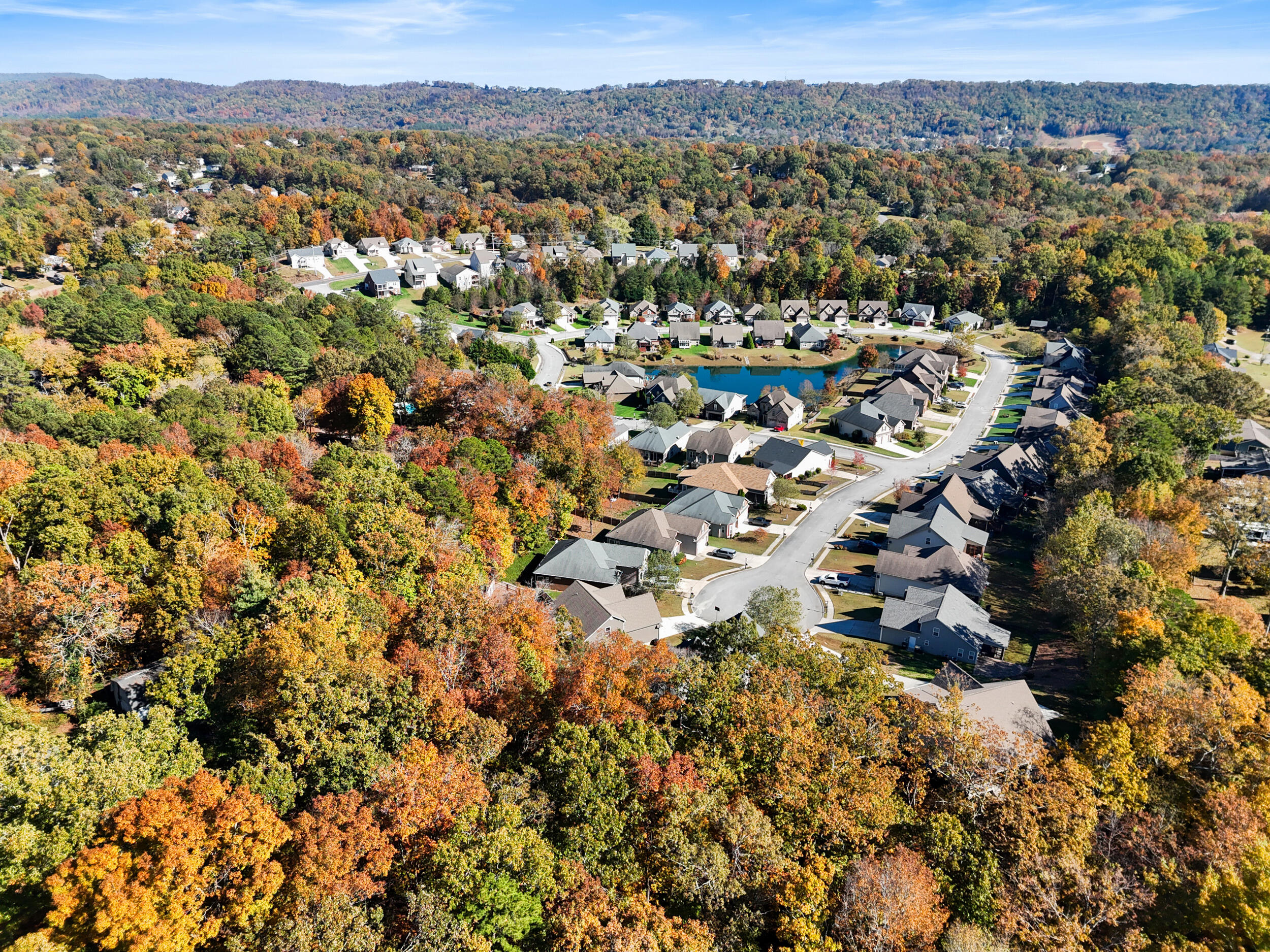 8672 Maple Valley Drive Chattanooga, TN 37421 - Photo 30 of 38 Your New Neighbors