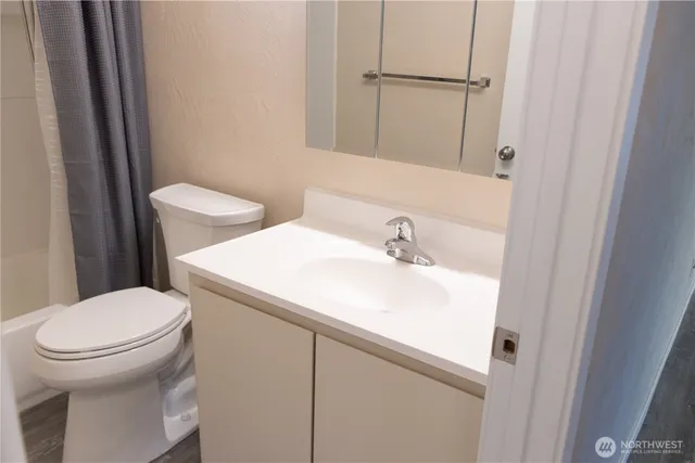 a bathroom with a sink and a toilet