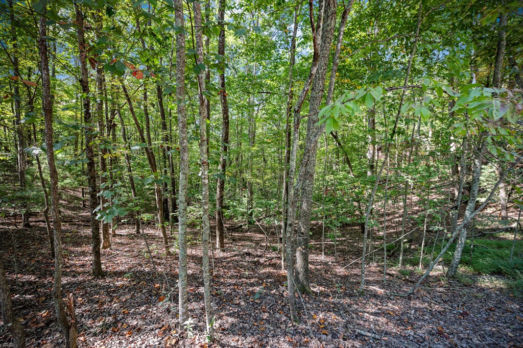 0 Broken Arrow Path Blue Ridge, GA 30513 - Photo 28 of 30 Gallery Image 28