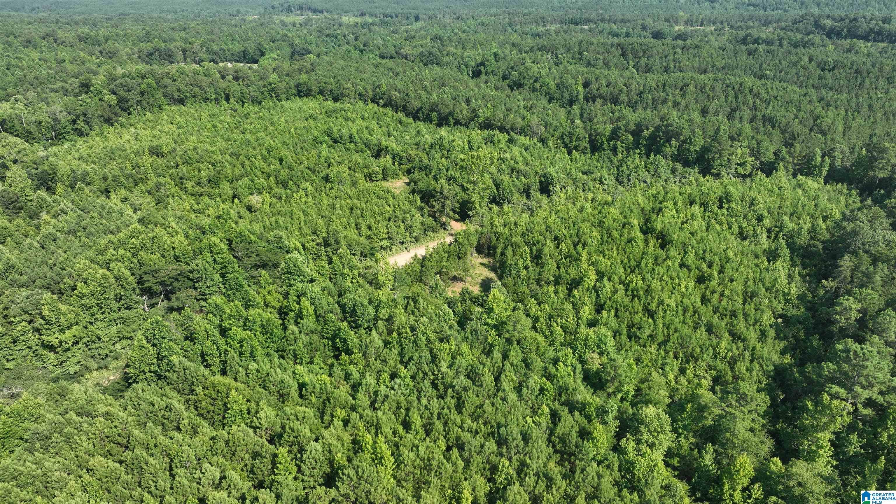 2 County Road 253, Unit 2 Clanton, AL 35046 - Photo 32 of 40