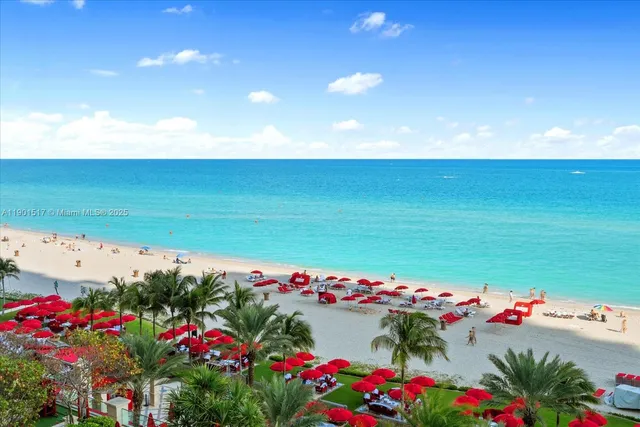 a view of a flowers in a room