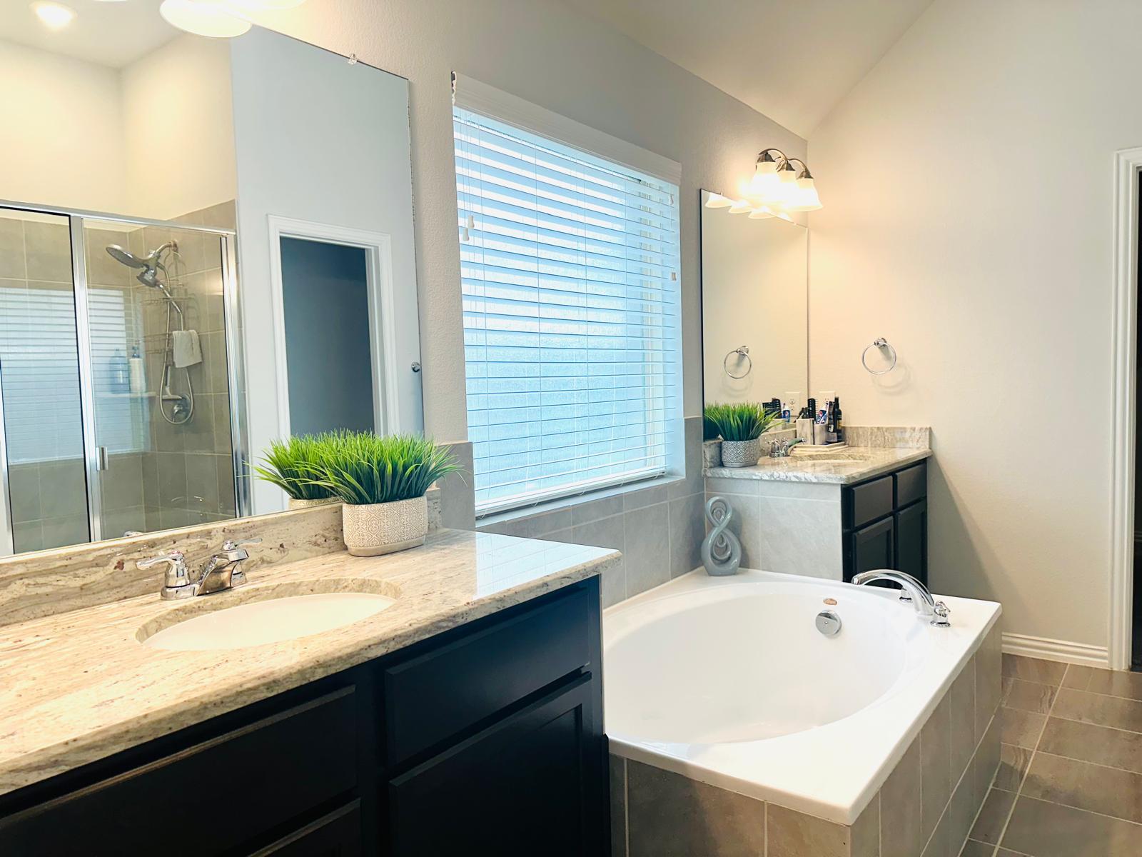 862 Leadtree Loop Buda, TX 78610 - Photo 28 of 40 a bathroom with a sink and a bathtub
