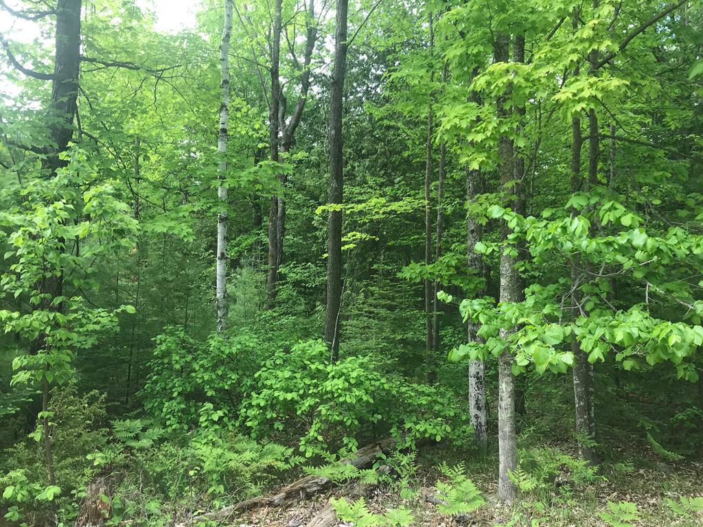 Spring Court Fish Creek, WI 54212 - Photo 1 of 9
