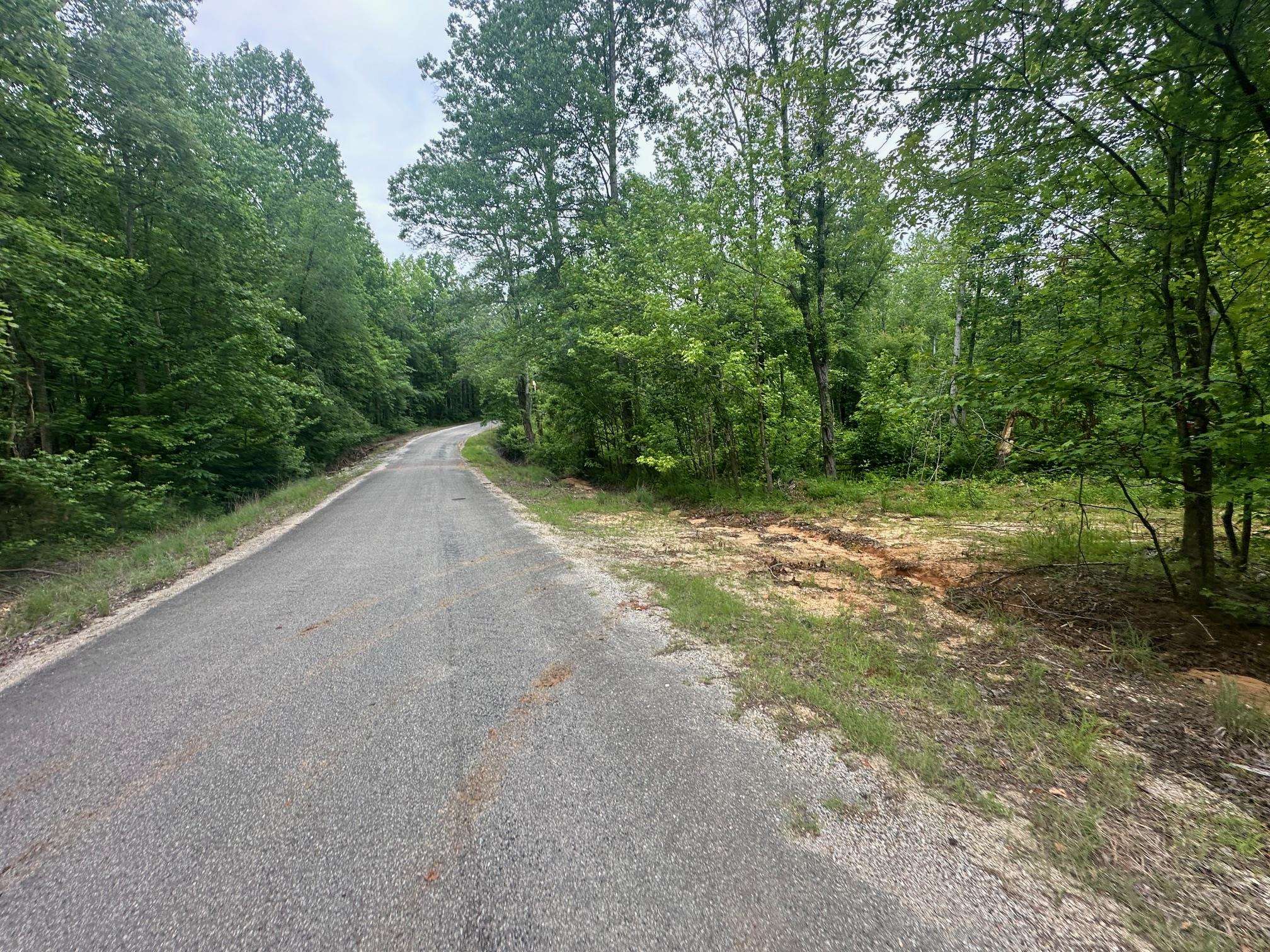 a view of a dirt road with trees in the background