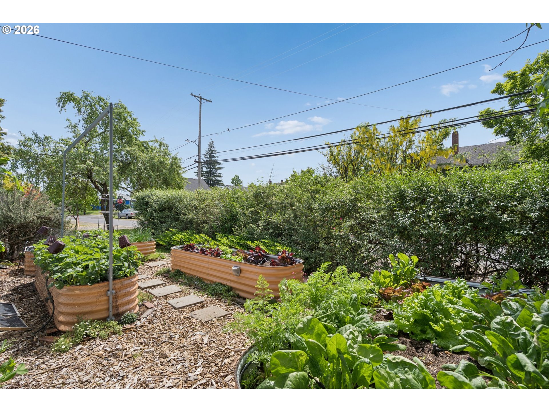 1206 Northeast 75th Avenue Portland, OR 97213 - Photo 6 of 40 Garden