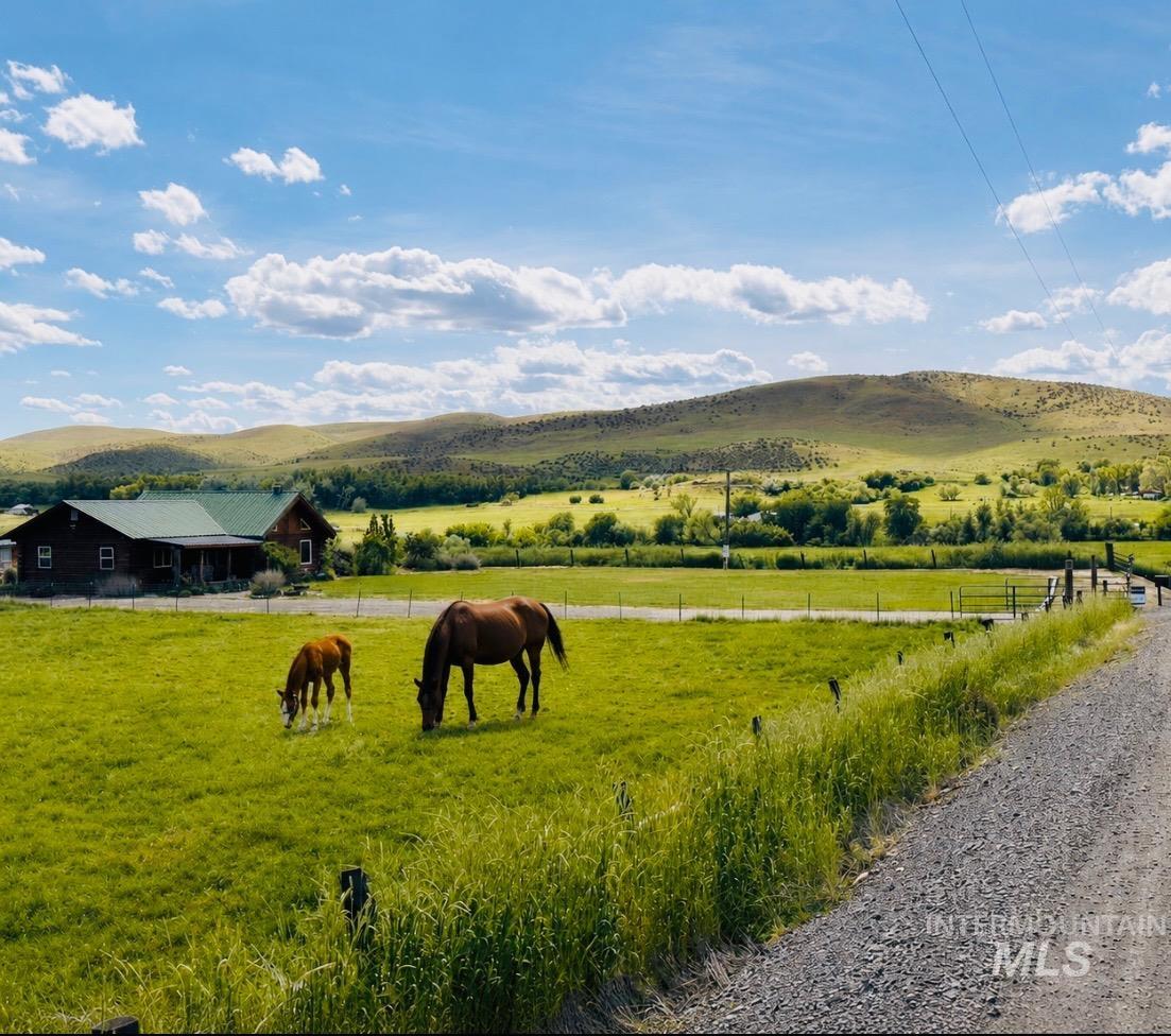 1855 Jones Road Weiser, ID 83672 - Photo 1 of 34 Expansive green pastureland with distant rolling hills