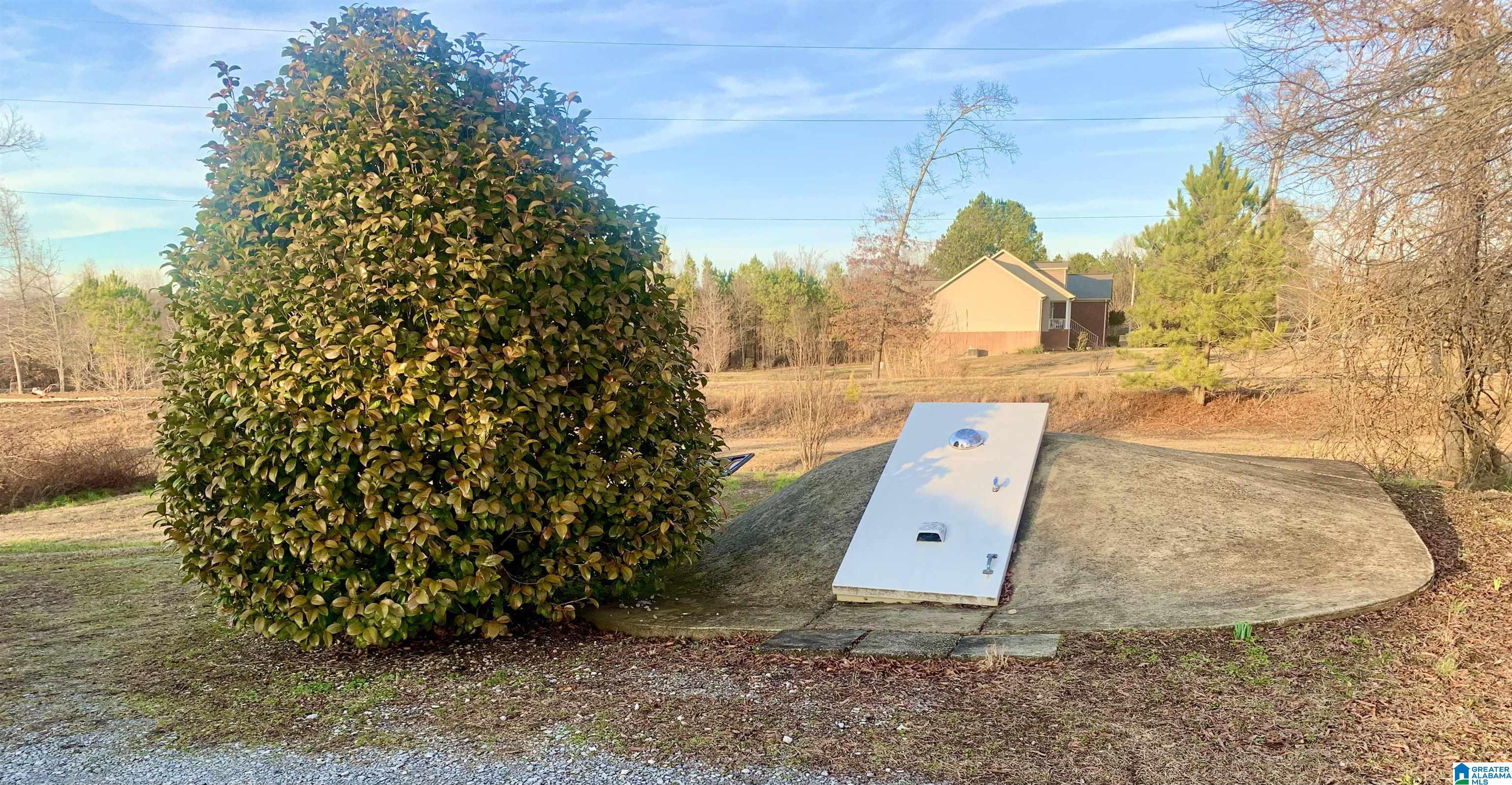 3723 Mt Gilead Road Jacksonville, AL 36265 - Photo 24 of 42 Gallery Image 24