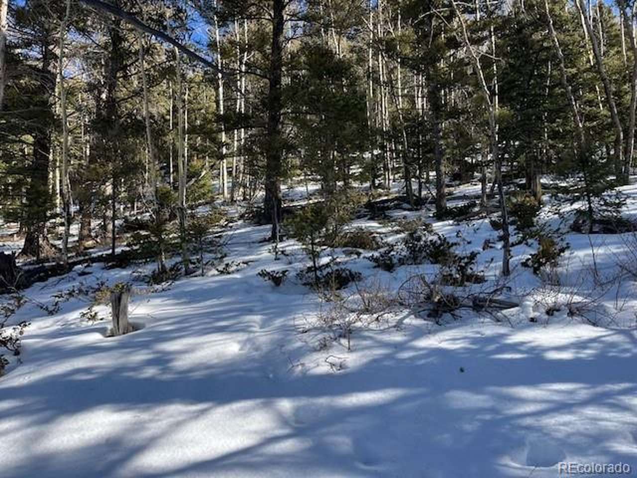 5339 Howard Road Fort Garland, CO 81133 - Photo 11 of 14