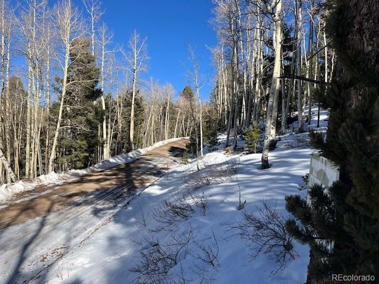 5339 Howard Road Fort Garland, CO 81133 - Photo 12 of 14