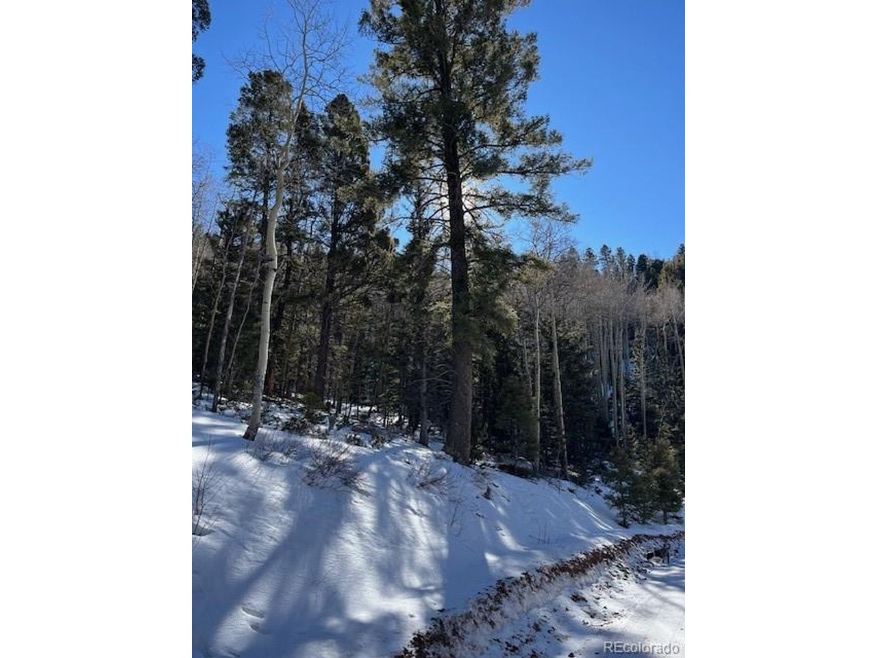 5339 Howard Road Fort Garland, CO 81133 - Photo 8 of 14