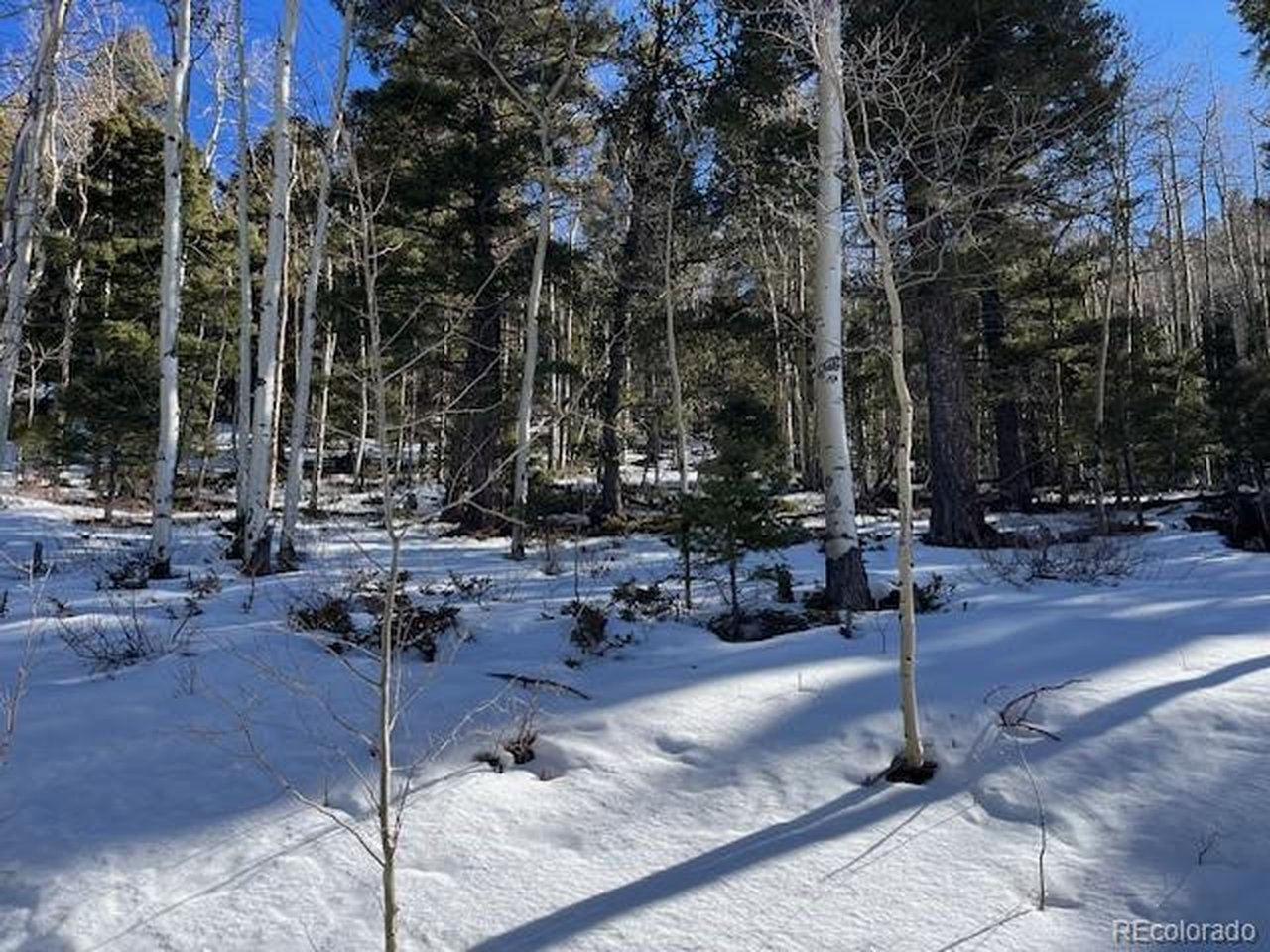5339 Howard Road Fort Garland, CO 81133 - Photo 9 of 14