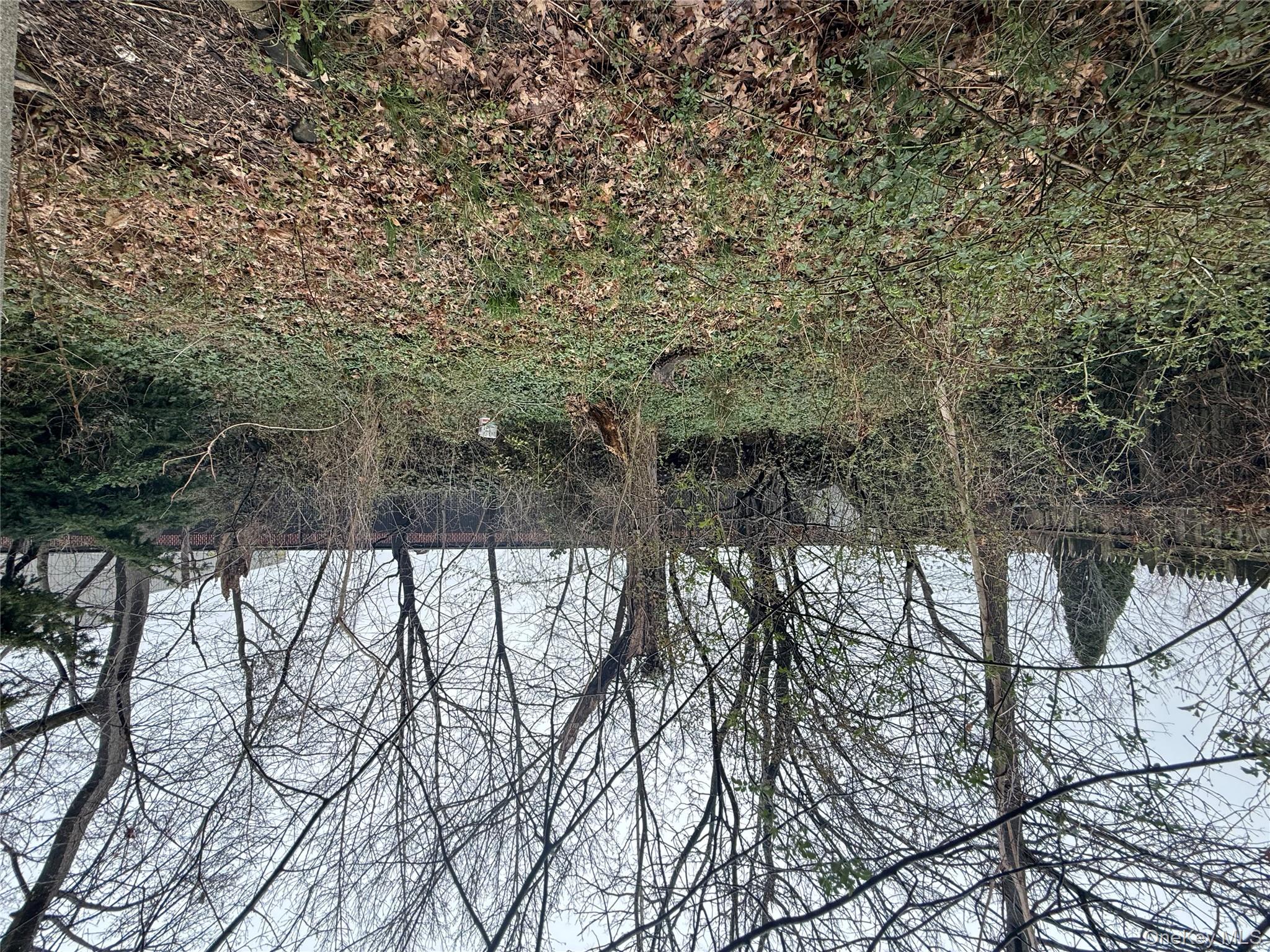 33 Morgan Street New Rochelle, NY 10805 - Photo 6 of 9 Yard