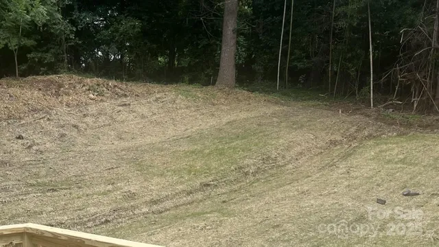 a view of backyard with green space