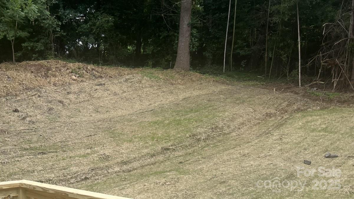 a view of backyard with green space