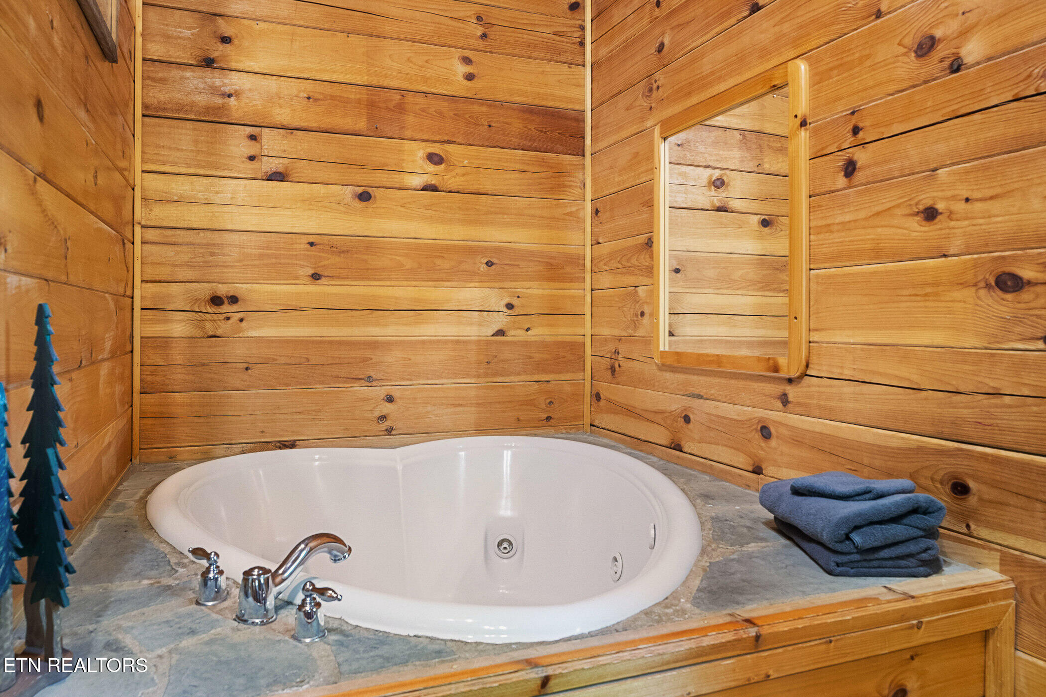 746 Nighthawk Way Pigeon Forge, TN 37863 - Photo 10 of 29 dsc02389